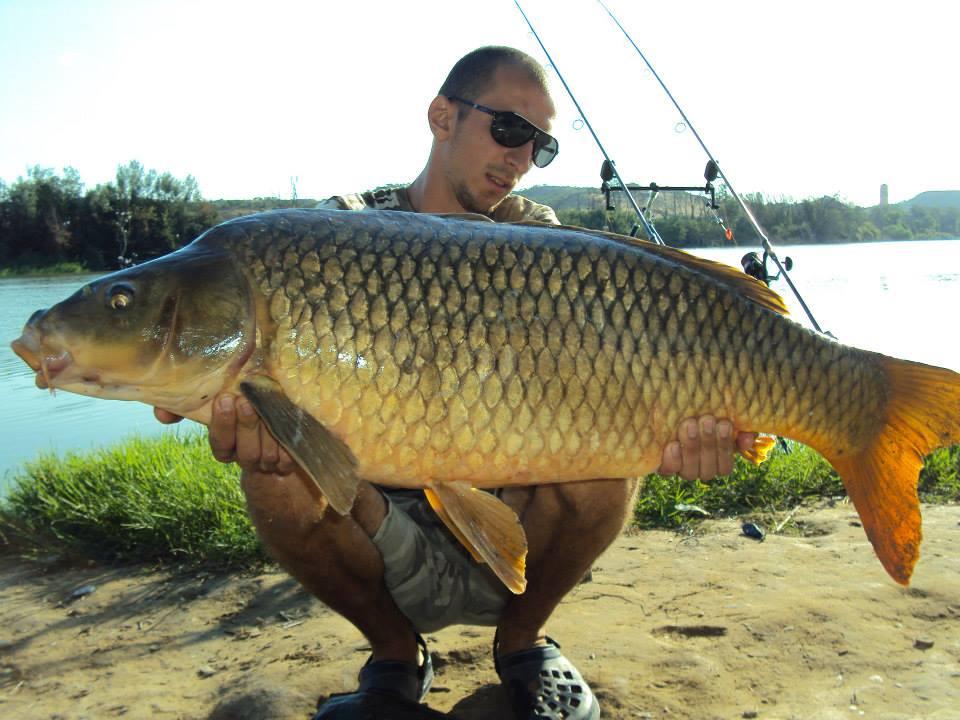 carpfishing - 11752965076949526320581041793714n.jpg